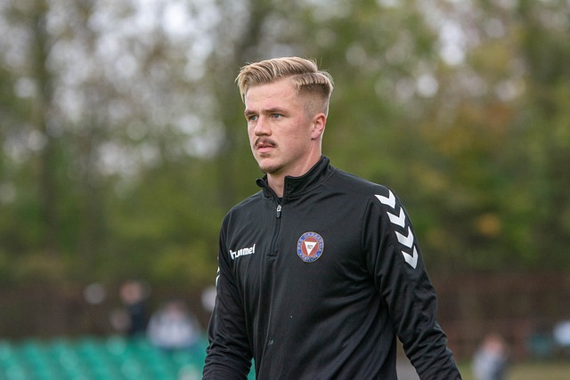 使得观众能 使得观众能