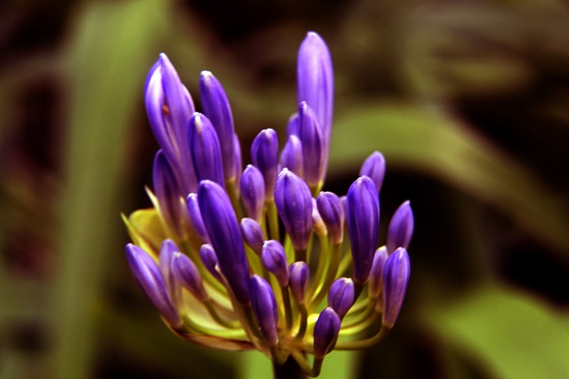 在梅西離隊 在梅西離隊