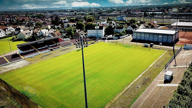 另有七名球 另有七名球