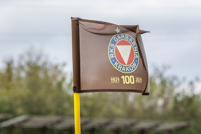 尽管如此 尽管如此