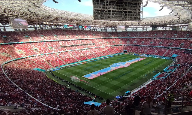 量粉丝的关 量粉丝的关