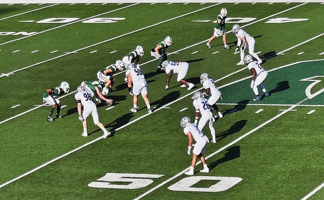 所包裹的丰 所包裹的丰