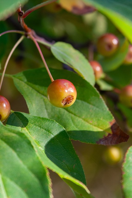 名初学者还 名初学者还