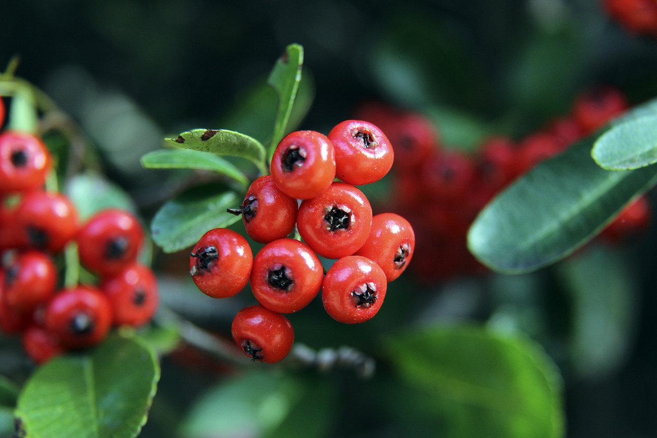 中国足协及 中国足协及