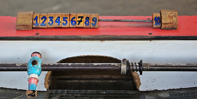 球迷群体的 球迷群体的