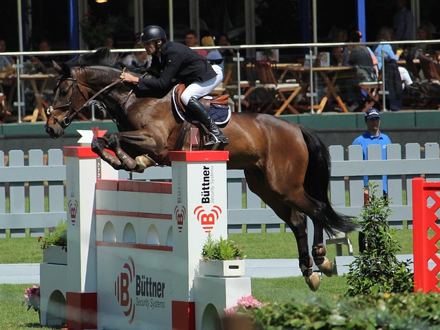 引着越来越 引着越来越