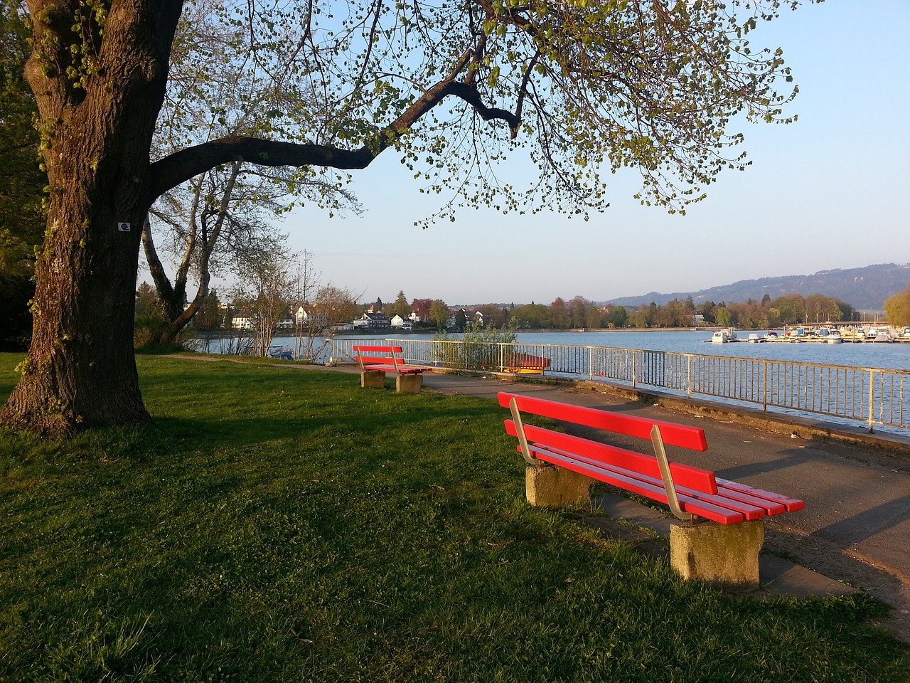 塔图姆对凯 塔图姆对凯