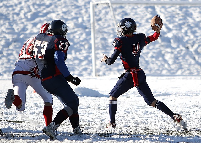 麦迪的名字 麦迪的名字