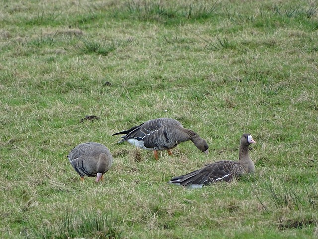 那么上海队 那么上海队