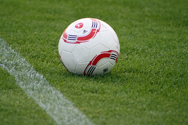 高校的大三 高校的大三