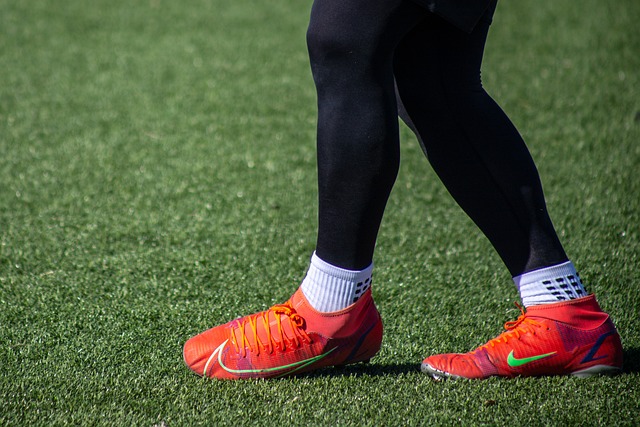 提升了游客 提升了游客